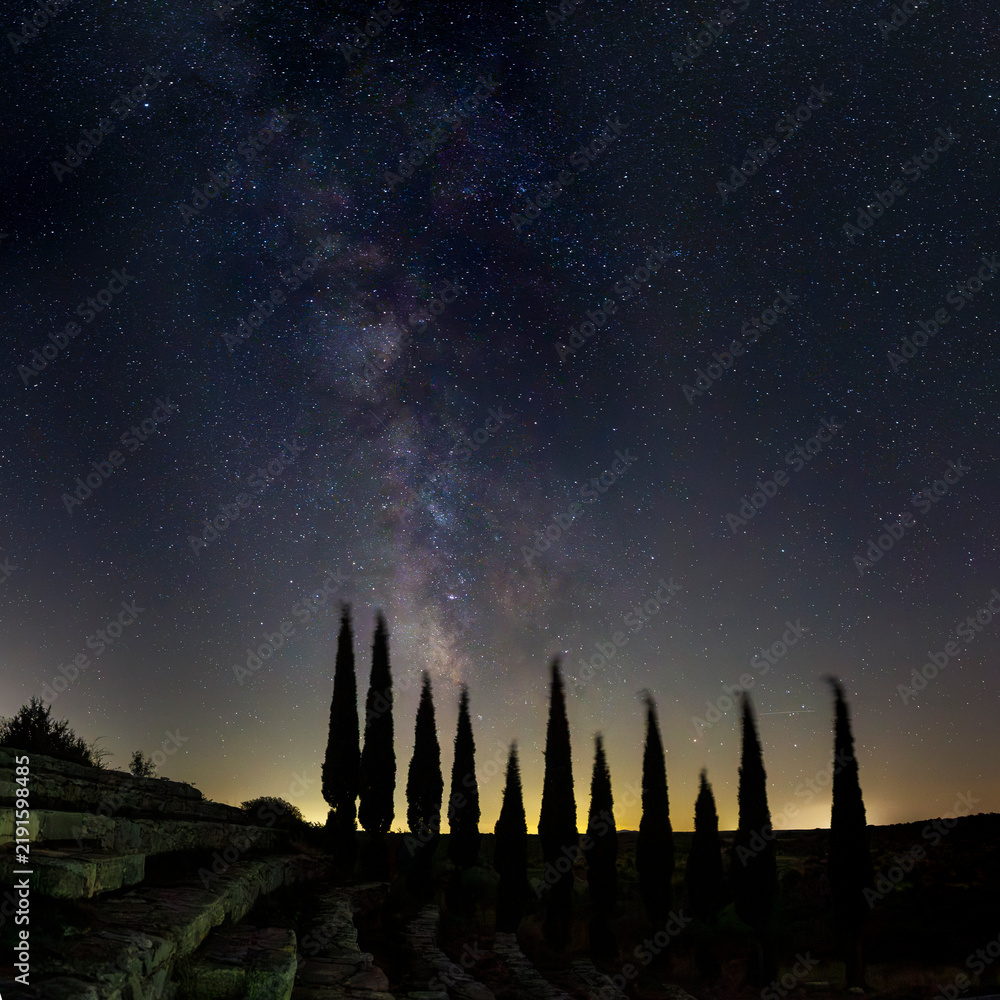 Obraz premium The Milky Way with trees and bleachers in the foreground