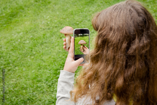 Close-up view of a child’s hands holding a smartphone and taking a photo of mushroom outdoors in autumn. Mushroom identification app concept. The mushroom is identified as a edible birch bolete.
