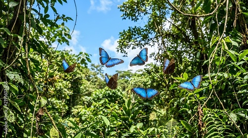 Blue morpho butterflies flying through a lush tropical jungle forest