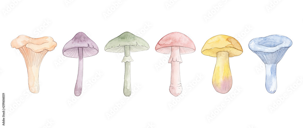 Obraz premium Watercolor mushroom collection set isolated on black background, colorful fungi illustrations, pastel rainbow botanical set, hand drawn art element for design projects, autumn aesthetic drawing.