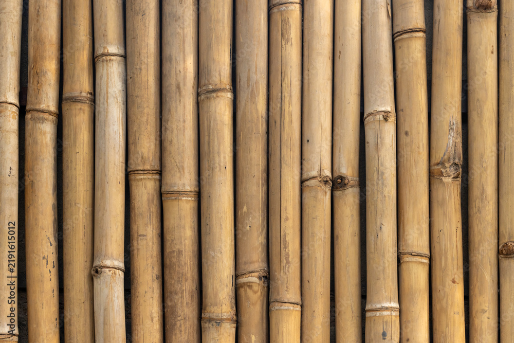 Obraz premium Closeup of natural bamboo fence panels showing vertical stalks, knots and warm wood texture ideal for rustic décor, tropical themes, backgrounds, and architectural or landscape design projects