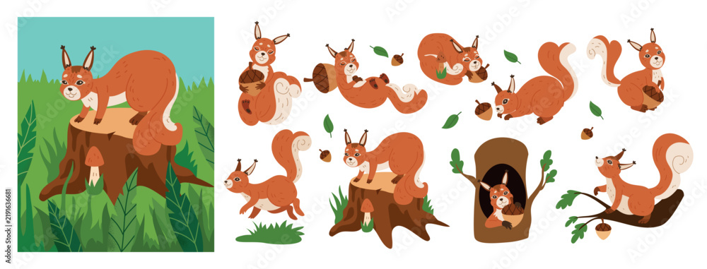 Obraz premium Squirrel in tree. Cute woodland animal with nut. Childrens cartoon character. Sticker forest pet. Happy mascot with acorns, leaves branches. Element baby print. Vector tidy isolated illustration
