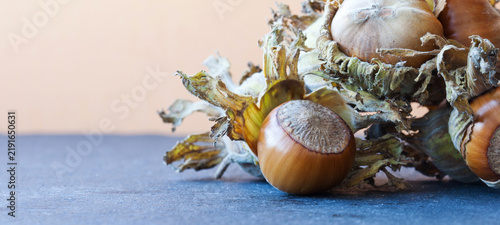 Fotografie Healthy still life autumn harvest ripe hazelnut Corylus Maxima