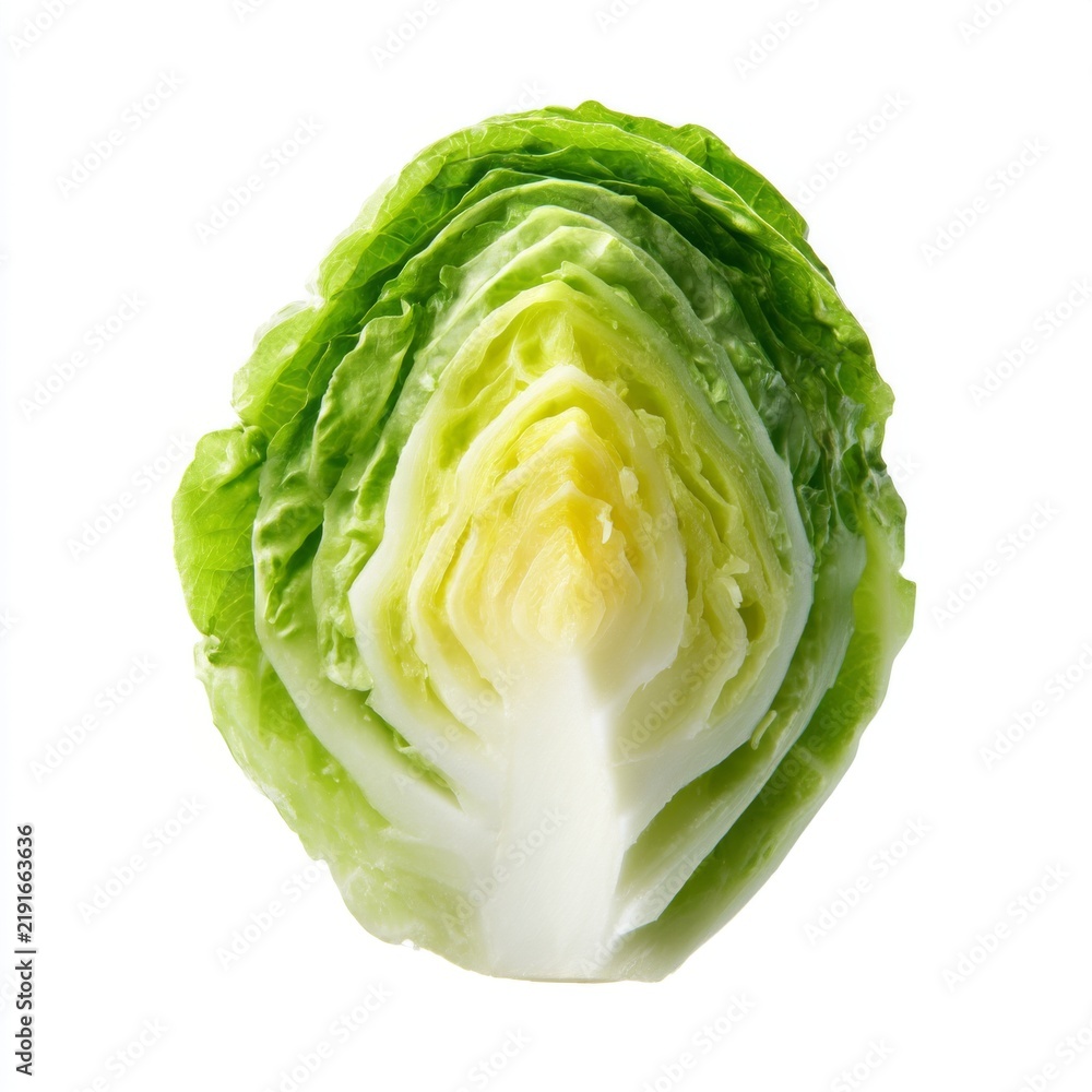 Fototapeta premium Fresh Green Cabbage Half with Crisp Leaves on a White Background for Culinary and Health Use