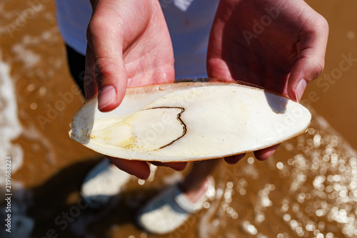 Closeup of a boy's hands holding a cuttlebone found along Omaha Beach in the Normandy region of France