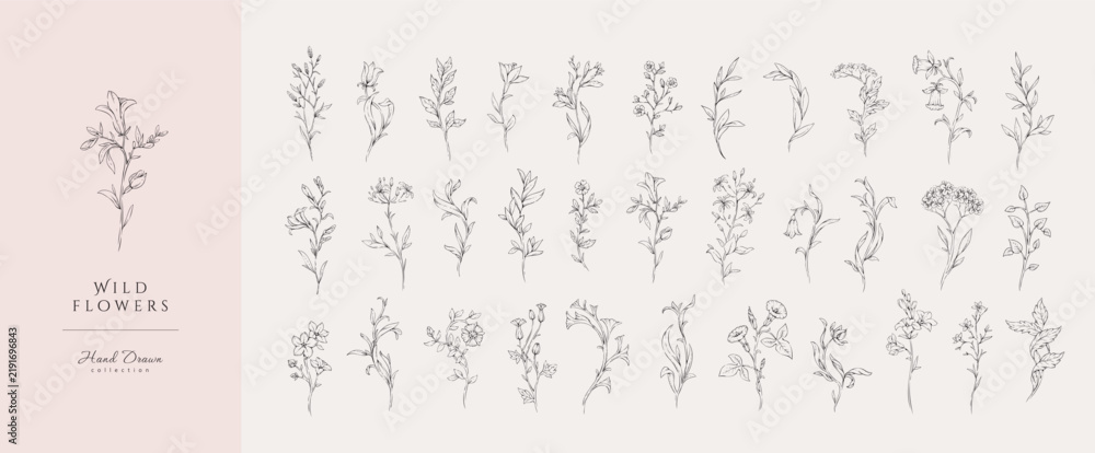 Obraz premium Set of whimsical drawing various flowers. Hand drawn floral collection for wedding invitation, wallpaper art or save the date card. Botanical vector