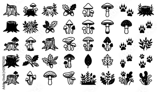 Forest Nature Elements Tree Stump Mushrooms Paw and Leaves Vector Collection