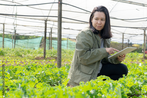 A young female farm owner uses a digital tablet to monitor and record crop growth on an organic vegetable farm.