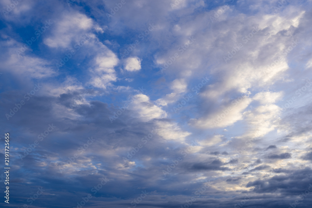 Obraz premium Blue Sky with Soft White Cumulus Clouds Background,A wide-angle sky photograph showing soft white and light gray clouds scattered across a vibrant blue sky. Ideal for nature backdrops, weather