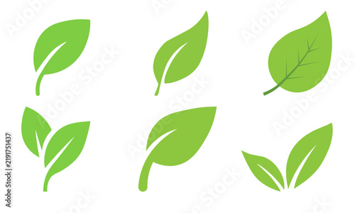 Green leaf icons presented in a botanical arrangement highlighting natural ecology.