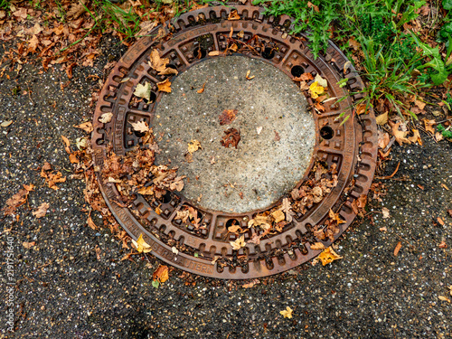 Фотография Mit Herbstlaub verstopfter Abwasserschacht