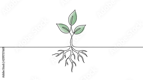 Small plant sprout with roots growing from soil line drawing seedling environment sustainability development isolated