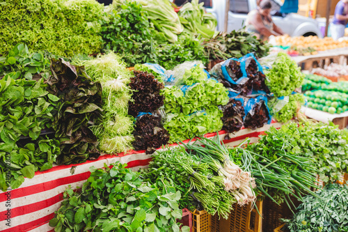 Fresh organic vegetables and herbs at Rio de Janeiro market