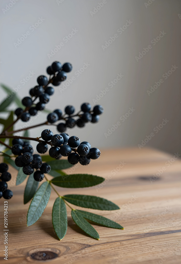 Obraz premium Organic nutrition and superfood concept, fresh dark berries on a branch with green leaves resting on a rustic wooden table in a minimalist home interior