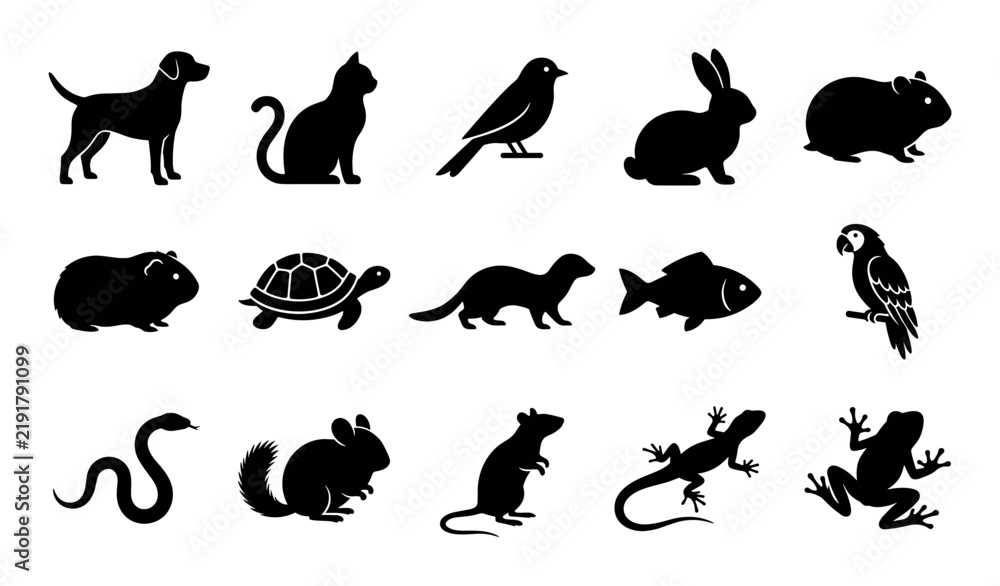 Fototapeta premium Common pets vector icons with dog, cat and bird for web design in solid silhouette style
