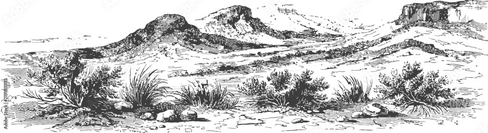 Obraz premium Detailed panorama sketch of arid desert landscape with rocky mountains and wild sagebrush clusters.