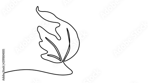 Abstract Maple Leaf . Self drawing animation one continuous line draw, logo,  Full length one line animation 4k video
