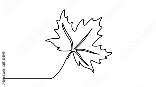 Abstract Maple Leaf . Self drawing animation one continuous line draw, logo,  Full length one line animation 4k video