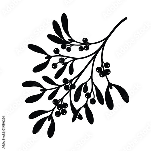 Christmas day, Mistletoe branch silhouette, Christmas floral element, black vector botanical branch art, holiday plant clip art isolated on White Background