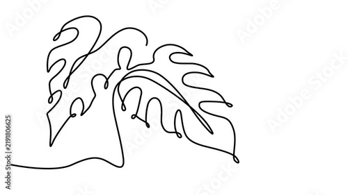 Monstera leaf line style animation. Animated continuous one line drawing tropical leaf. Full length one line animation 4k video