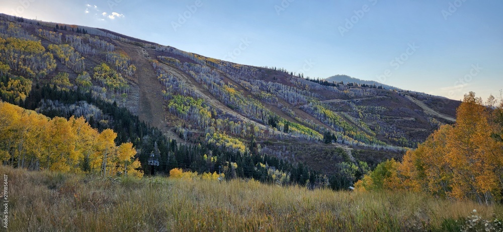 Fototapeta premium autumn trees at park city utah