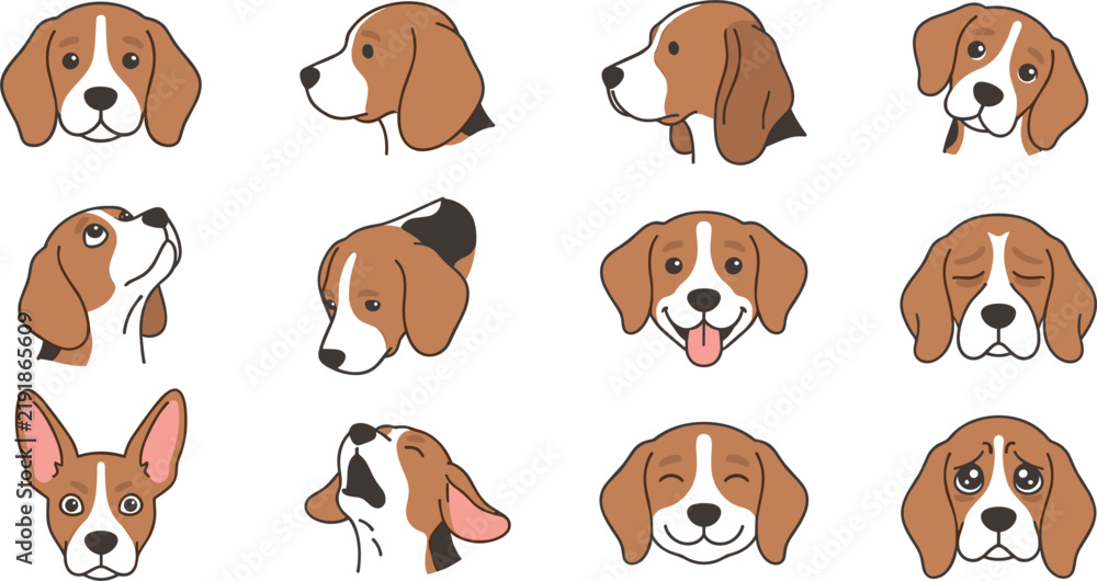 Obraz premium Beagle Dog Head Vector Set with Puppy Face Expression Front Side Profile Illustration Collection