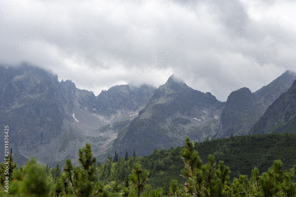 Fototapeta premium Felsiger Berggipfel im Nebel unter bedecktem Himmel