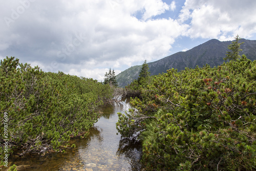 Idyllisches Alpental mit Bergbach und grünen Berghängen