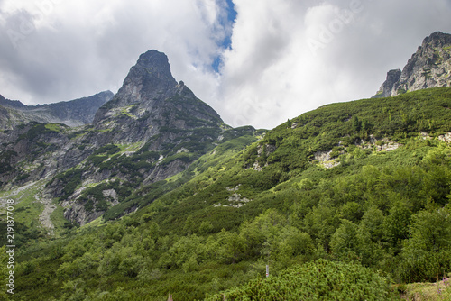 Idyllisches Alpental mit Bergbach und grünen Berghängen