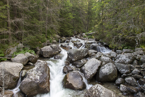 Klarer Gebirgsbach mit kleinen Wasserfällen und moosbewachsenen Steinen
