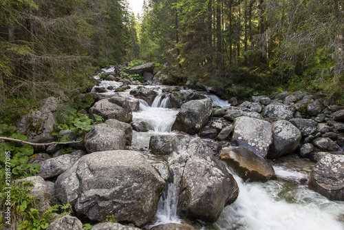Klarer Gebirgsbach mit kleinen Wasserfällen und moosbewachsenen Steinen