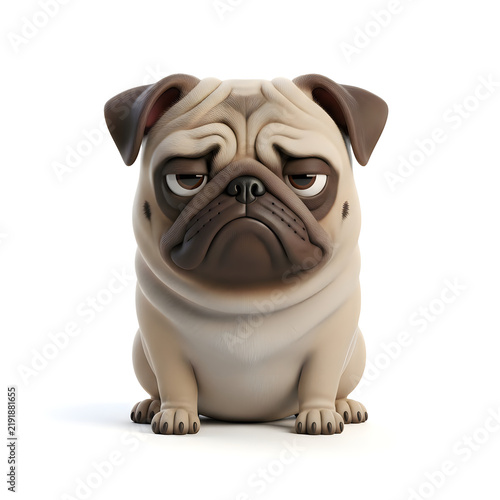Cute grumpy pug dog sitting and looking at the camera
