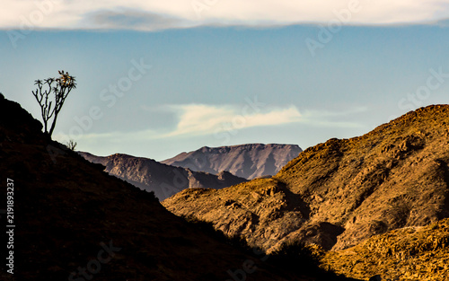 Mountains and valleys of the Richtersveld mountains, with the silhouette of a quiver tree, in the golden afternoon light. 