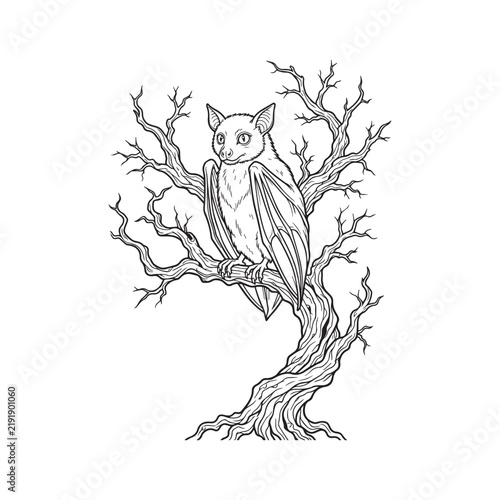 Cute bat sitting on a dry leafless tree branch in black and white