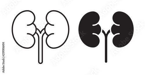 kidney icons in fill and stroke style on white background