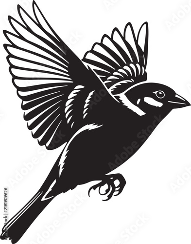 Black And White Bird Silhouette Flying With Spread Wings