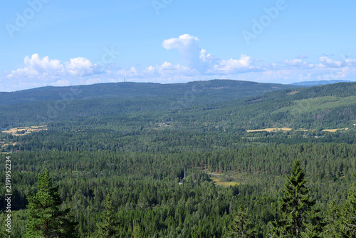 Naklejka View