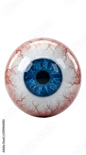 human eye in the shape