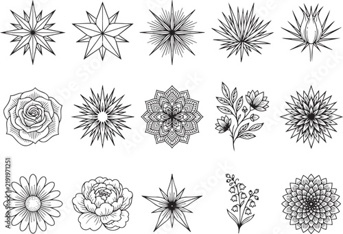 Black and White Botanical Houseplant Collection with Tropical Foliage EPS Vector