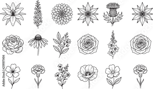 Monochrome Botanical Plant Collection Featuring Indoor Greenery and Decorative Leaves EPS