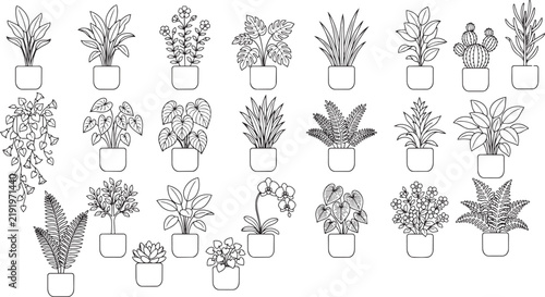 Black and White Houseplant Set with Monstera, Pothos and Tropical Foliage Vector