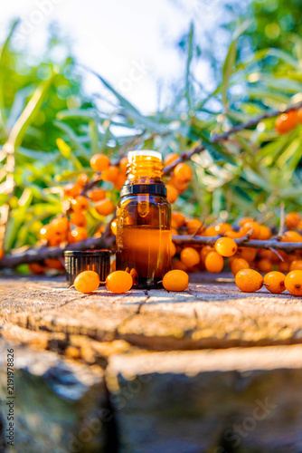 Sea buckthorn oil in glass dropper bottle with fresh ripe berries