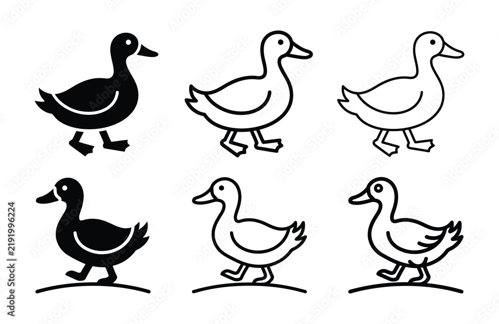 Fototapeta premium Six stylized duck icons in silhouette and outline on a white background vector illustration