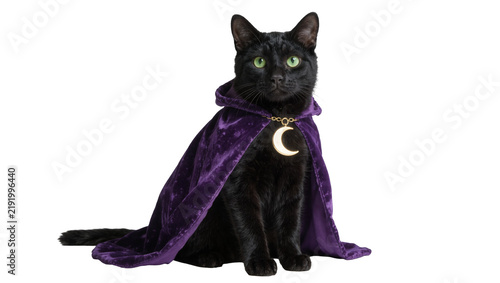 Bild auf Leinwand Black cat wearing a purple velvet cape with crescent moon pendant, isolated on t