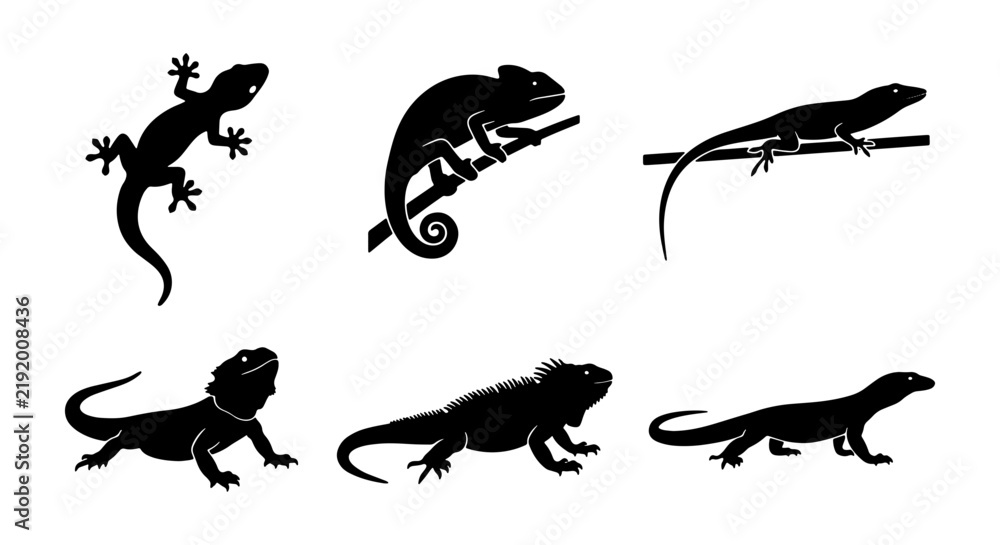Obraz premium Six Silhouette Reptile Icons: Lizards, Geckos, Chameleons, Iguanas, Vector Graphics for Wildlife and Nature Designs