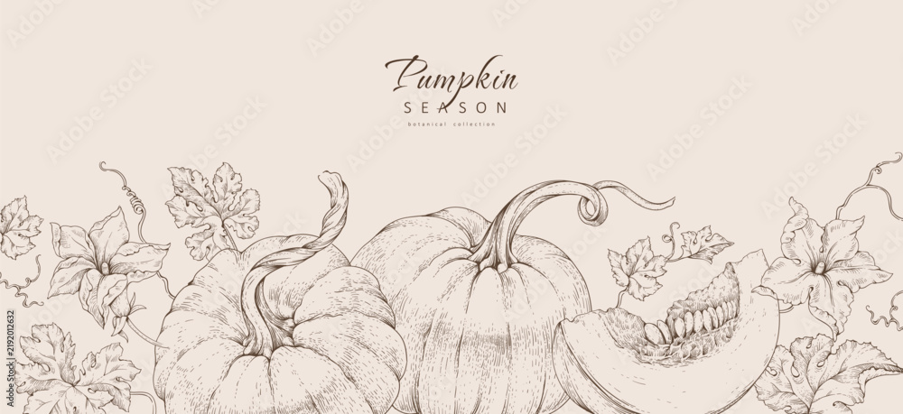 Obraz premium Background with pumpkin with flowers and leaves. Line art hand drawn illustration of botanical elements of farm and autumn. Fall and cozy seasonal designs