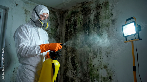 Professional Mold Remediation Specialist in Protective Suit Spraying Antifungal Treatment on Mold-Covered Wall