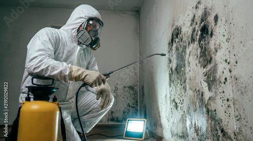 Professional Mold Remediation Specialist in Protective Suit Spraying Antifungal Treatment on Mold-Covered Wall