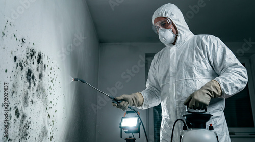 Professional Mold Remediation Specialist in Protective Suit Spraying Antifungal Treatment on Mold-Covered Wall
