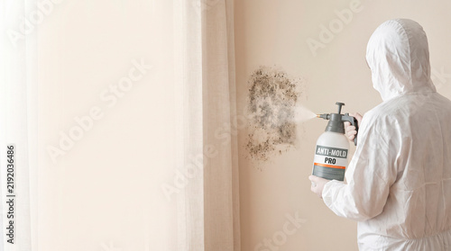 Professional Mold Remediation Specialist in Protective Suit Spraying Antifungal Treatment on Mold-Covered Wall